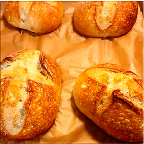 Homemade baked goods from De Novo Delights, photo 61