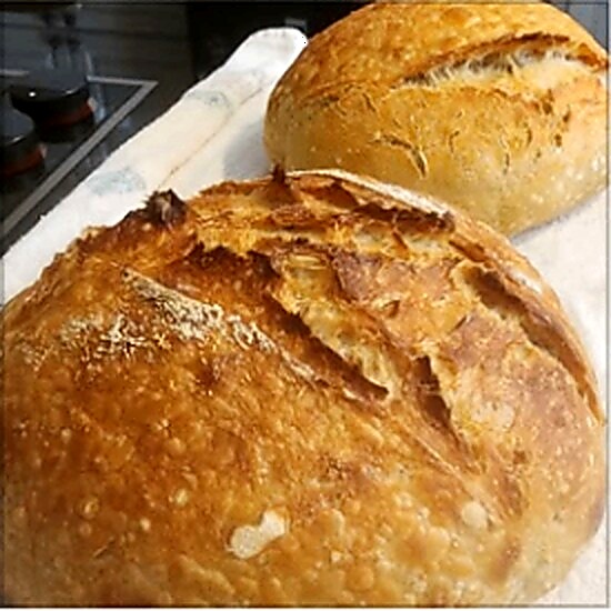Homemade baked goods from De Novo Delights, photo 68