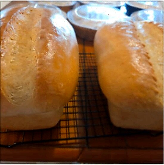 Homemade baked goods from De Novo Delights, photo 48